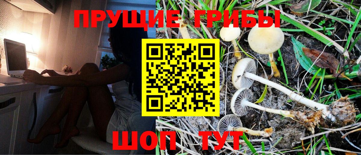 Галлюциногенные грибы прущие грибы Ртищево