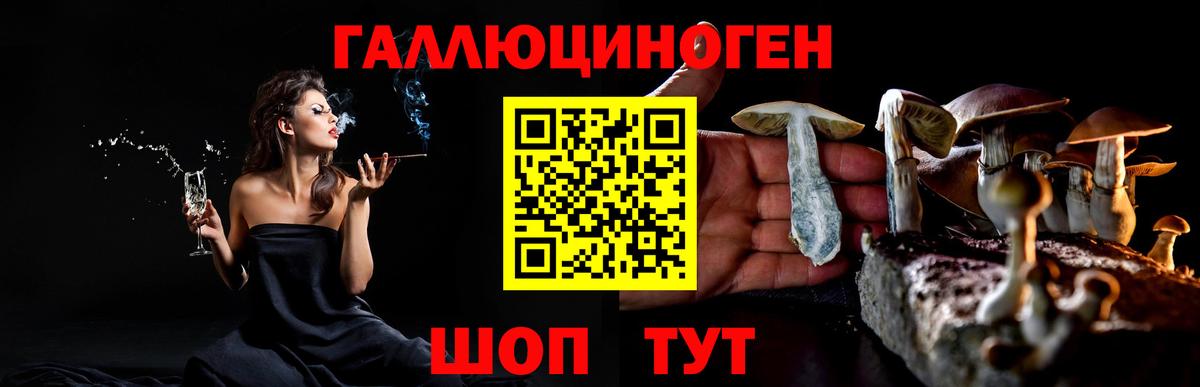 Ртищево  Галлюциногенные грибы мицелий  Вход с VPN 